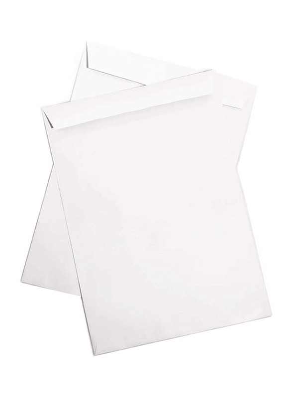 Lion File Envelope 15x10 100gsm 50pcs